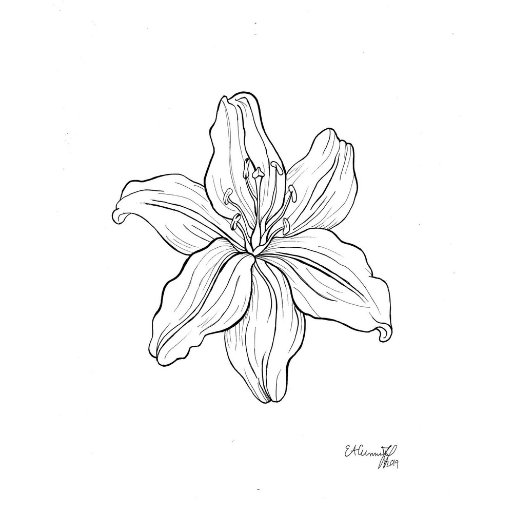 Lily Flower Print | Lily Floral Print | Minimalist Floral Art Print